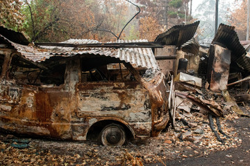 Fototapeta na wymiar Australian bushfire aftermath: Burnt car carcass at Blue Mountains, Australia