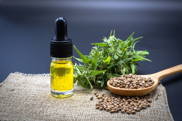 Seed leaf, oil bottle of CBD hemp. Black background. The concept of medical marijuana in the treatment of diseases. Refining CBD hemp oil into herbal medicine used to treat