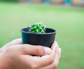 Seedlings that grow in a linen bag.Plant seedlings are in the sack bag in the outdoor garden, collecting money or investing for the future to do business. Seedlings sprout from the soil.