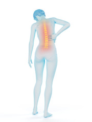 3d rendered medically accurate illustration of a woman having a painful back