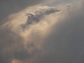 Dolphin, Sunny Sky, Stripes in the Sky