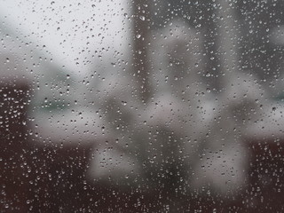 Winter. Blizzard outside the window. There is wet snow on the glass. On the window is a houseplant.