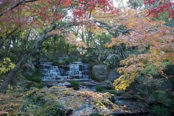 Waterfall and red autumn leave in Koko-en garden in Himeji