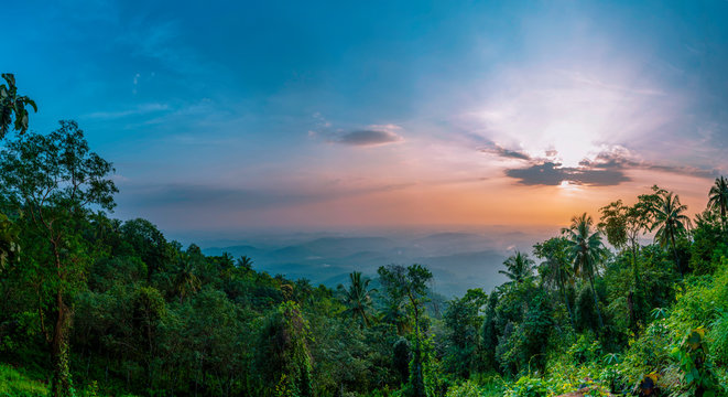Kerala Nature