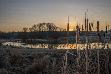 Sonnenaufgang über einem kleinen See an einem Wintermorgen