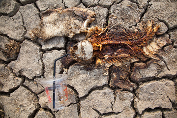 Warning of global warming : Impossible farming