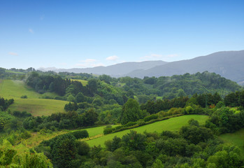 Obraz premium grassy field and hills