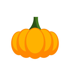 Pumpkin isolated on white background. Autumn Halloween pumpkin. Squash orange vegetable icon. Healthy organic food. Superfood rich in vitamins and minerals. Vector illustration, flat style, clip art. 