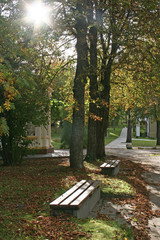Autumn in Druskininkai