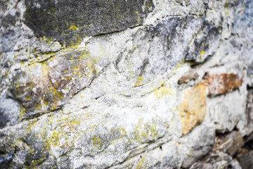 close up view of the bricks wall