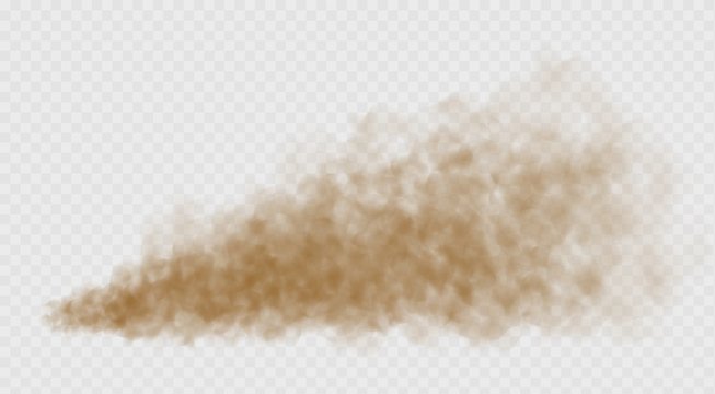 Dust cloud isolated on transparent background. Sand storm, beige powder explosion, desert wind concept. Realistic vector illustration.