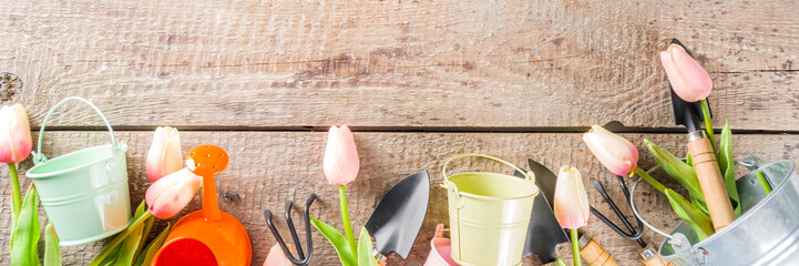 Gardening tools and flowers on wooden terrace background. Spring gardening concept, copy space for your text