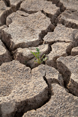 Warning of global warming : Impossible farming