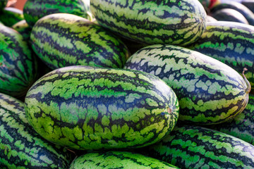 Sweet watermelon, a large number of large green organic crops on the farmers market in Thailand, Asia. Fruit for weight loss and high vitamin C.soft focus.