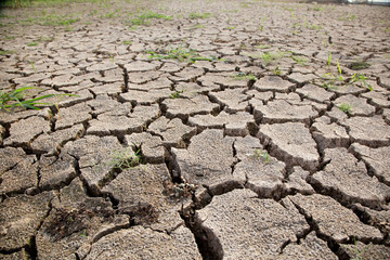 Warning of global warming : Impossible farming