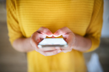 Midsection of young woman with smartphone standing indoors at home.