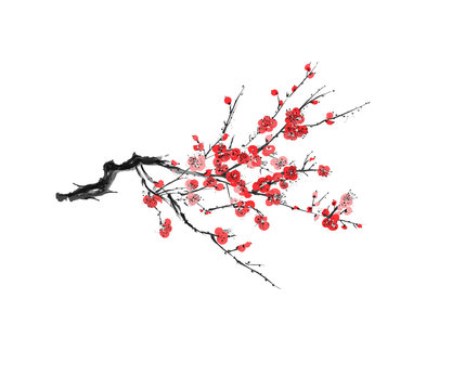 Realistic sakura blossom - Japanese cherry tree isolated on white background - Vector