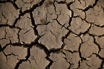 Warning of global warming : Impossible farming