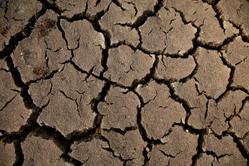 Warning of global warming : Impossible farming