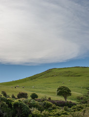 Purakanui Bay. Catlins. South Island New Zealand. Coast. Hills