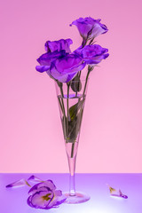 Violet and pink colored picture of flowers in a champagne flute