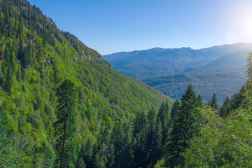 Fototapeta na wymiar Mountain slopes with dense mixed forest in Europe.