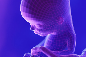 3d rendered abstract illustration of a fetus - week 13