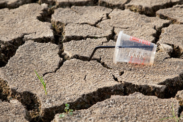 Warning of global warming : Impossible farming