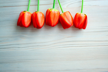 Beautiful red tulips top view on wooden bright background with copyspace. Celebration, postcard template for mother day, women day, valentine, toned