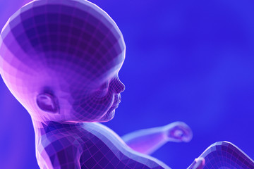 3d rendered abstract illustration of a fetus - week 22