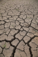 Warning of global warming : Impossible farming