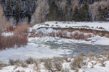 Winter on the Gros Ventre River in Wyoming