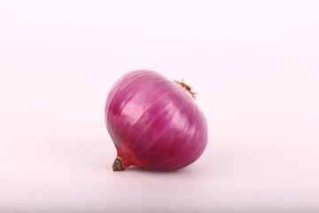The onion, also known as the bulb onion or common onion, is a vegetable that is the most widely cultivated species of the genus Allium.