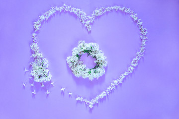 Flowering branch of white  lilac on purple background. Spring blossoming lilac top view, flat layout. Concept spring, summer, Mother's Day holidays, March 8, frame with copy space