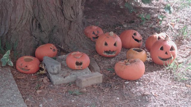 Halloween K&uuml;rbisse