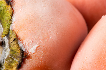 Fototapeta premium Large ripe frozen persimmons closeup. Persimmon fruit is covered with hoarfrost.