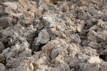 Warning of global warming : Impossible farming