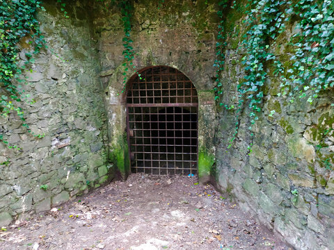 Puerta de barrotes oxidados con forma de arco superior en muro antiguo de piedra con enredaderas y humedades.