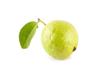 fresh guava fruit on white background fruit agriculture food isolated