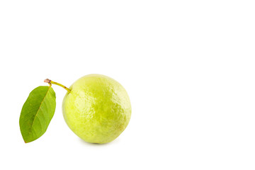 green guava fruit on white background fruit agriculture food isolated