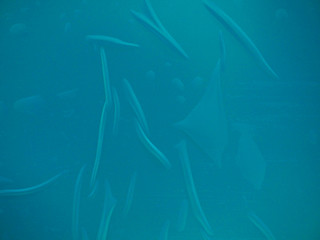 abstract blue background