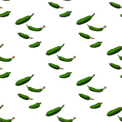 Seamless background with green cucumbers on white background. Endless pattern for your design. Vector.