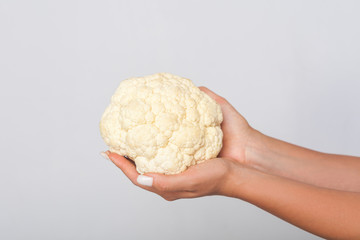 Closeup of female hands holding big white cauliflower, fresh raw vegetables, concept of healthy eating and vegetarian diet, low calorie food nutrition. indoor studio shot isolated on grey background