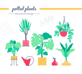 Decorative foliage collection - set of vector isolated elements