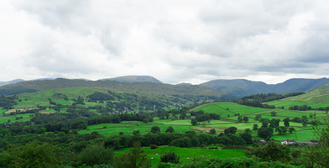Obraz premium Landscape of green trees and hills in lake district national park area, United Kingdom