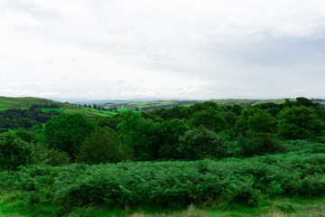 Landscape of green trees and hills in lake district national park area, United Kingdom