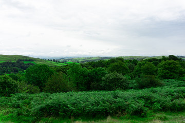 Fototapeta na wymiar Landscape of green trees and hills in lake district national park area, United Kingdom