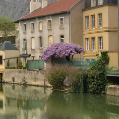 Homes in soft earthy colours in springtime next to the Moselle canal in Metz, France