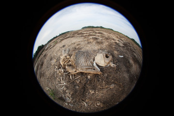 Warning of global warming : Impossible farming