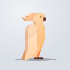 cockatoo icon cute cartoon wild animal symbol with shadow wildlife species fauna concept flat vector illustration © mast3r